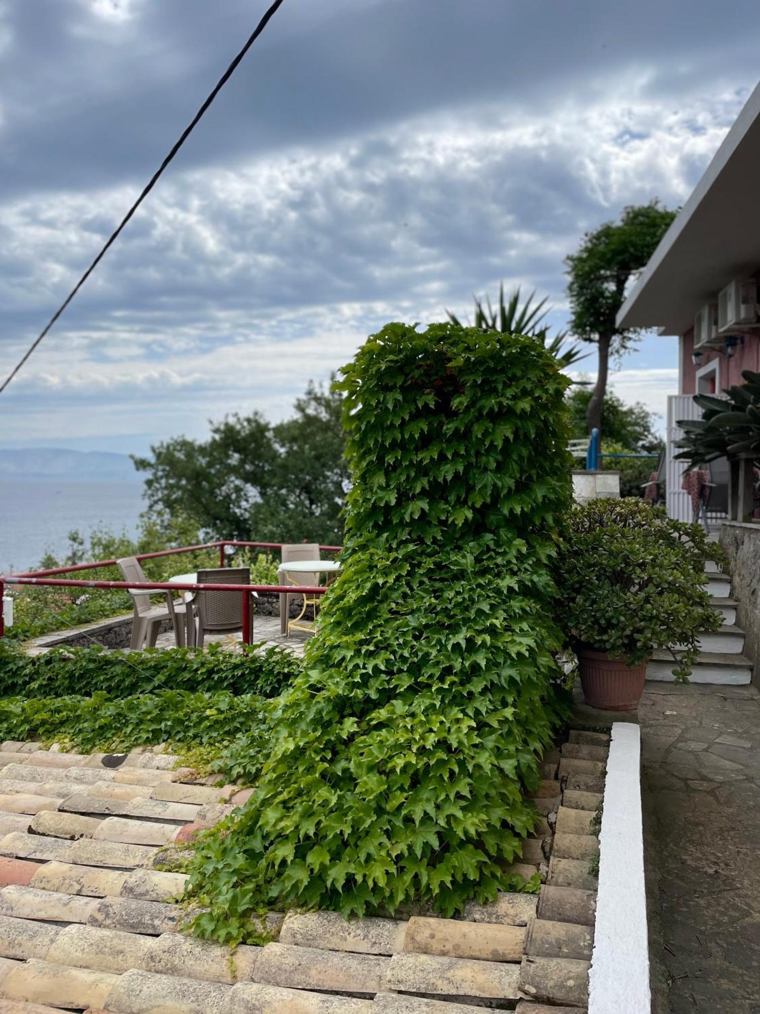 Kontos Mansion Apartment Benitses  Ngoại thất bức ảnh